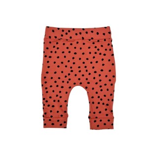 Spodenki dla wcześniaka - rozmiar 50/56